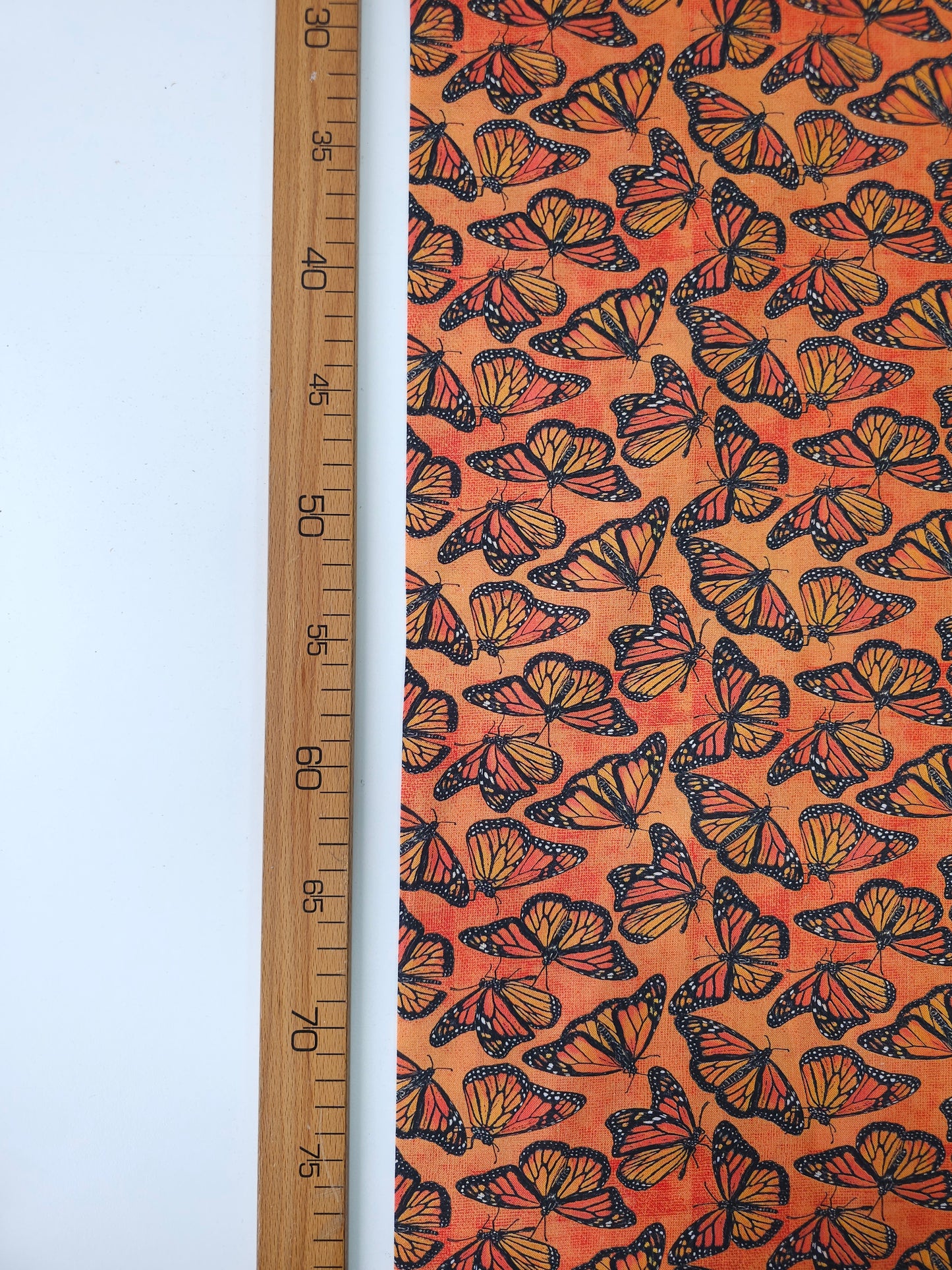 Sunset Orange Butterfly Cotton - Joann