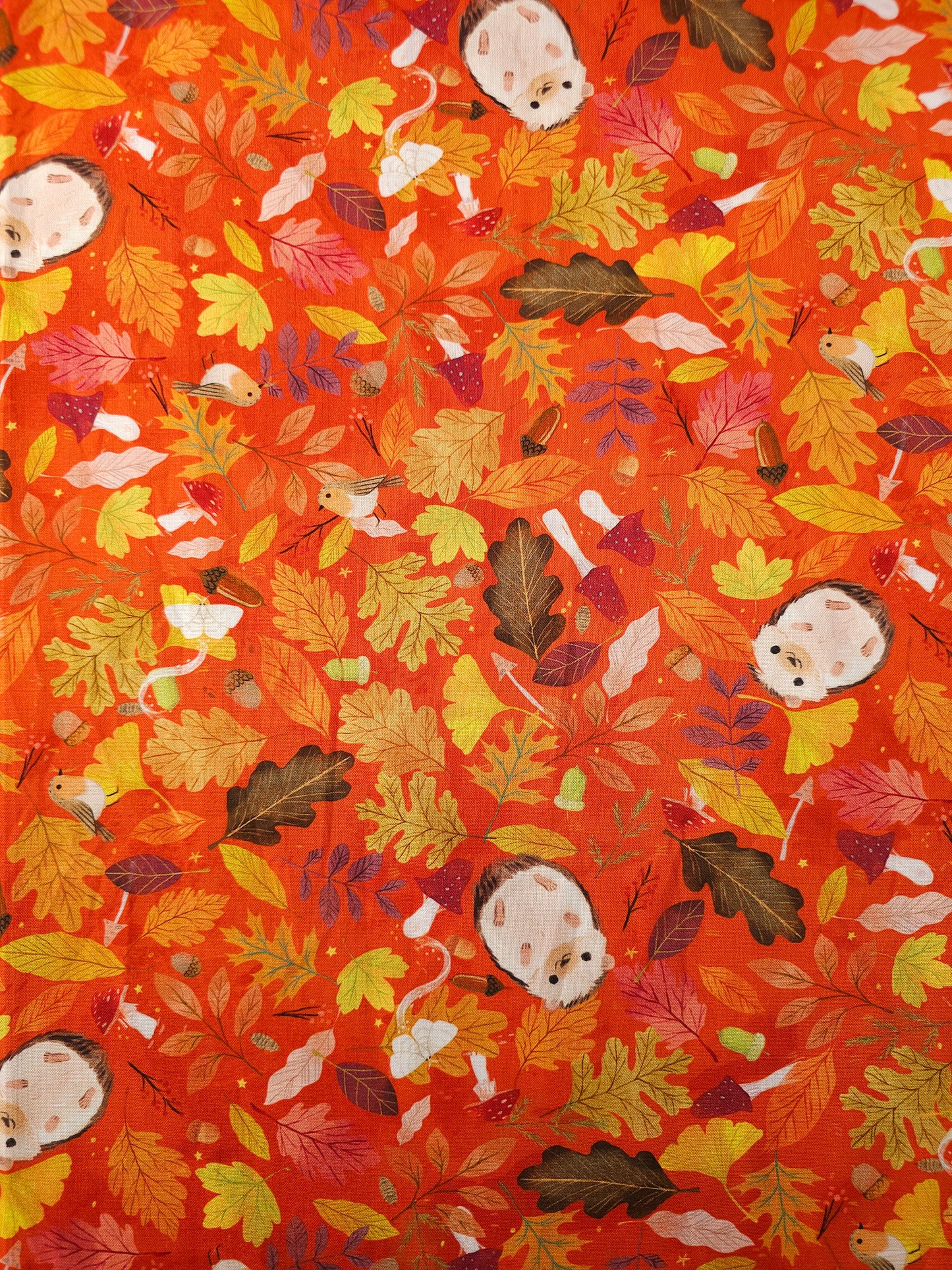 Hedgehog In The Leaves 100% Cotton